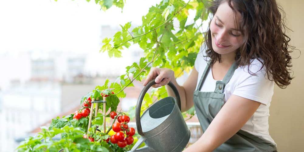 MODE EMPLOIE DE VOS JARDINETS POTAGER