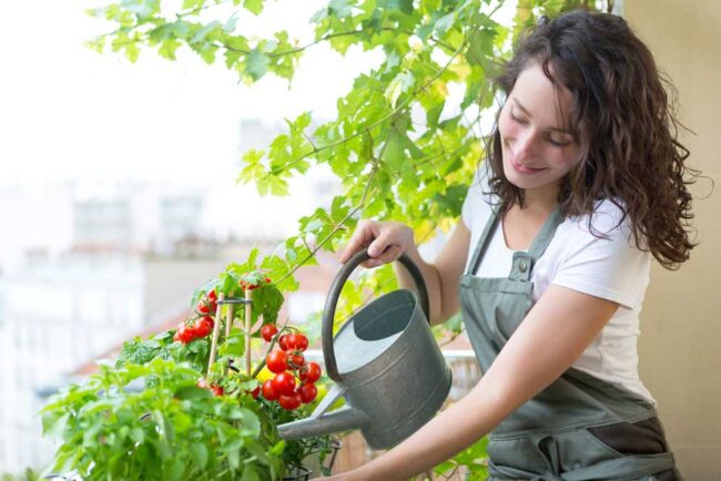 LA-BONNE-UTILISATION-DE-VOS-JARDINETS MODE EMPLOIE DE VOS JARDINETS POTAGER